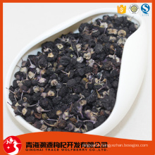 dried wild barbary wolfberry fruit